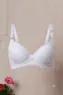SUTIÃ PLUS SIZE BASE RENDA FORRADO CETINETE